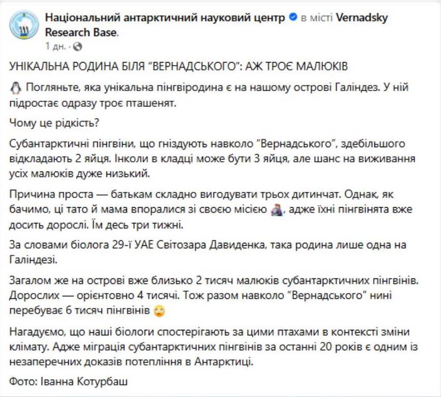 Уникальная семья: полярники показали пингвинов с редким количеством птенцов